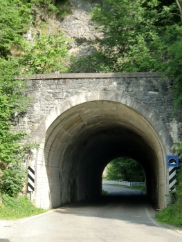 Moggio Tunnel western portal