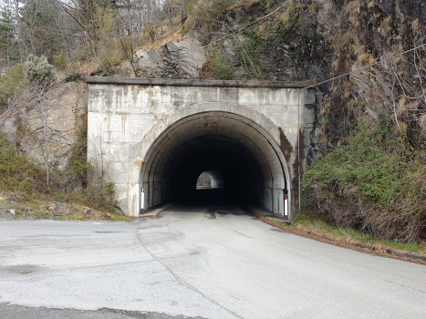 Coldirola Tunnel
