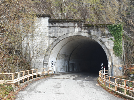 Coldirola Tunnel