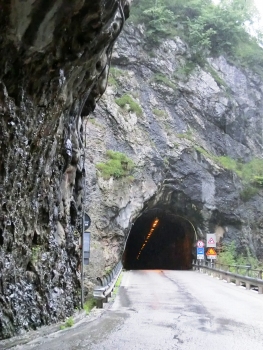 Bus Tunnel western portal