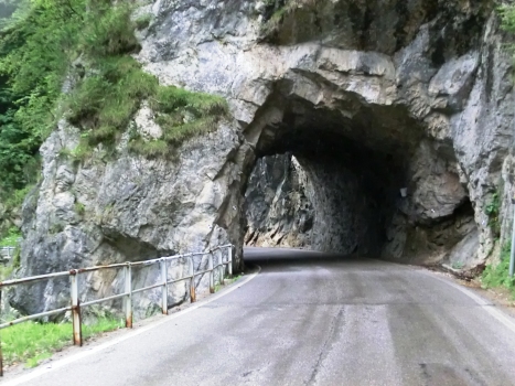 Destra Lumiei Tunnel northern portal