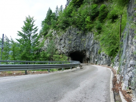 Tunnel La Maina I