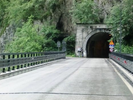 Pala Pelosa Tunnel northern portal