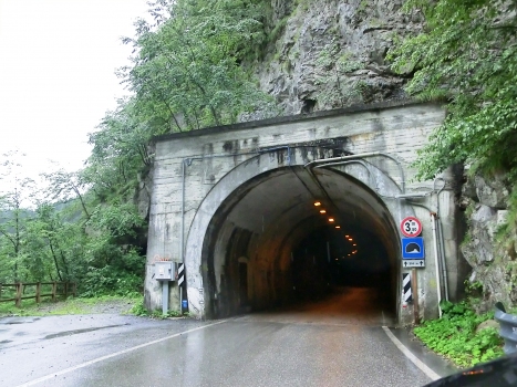 Pala Pelosa Tunnel northern portal