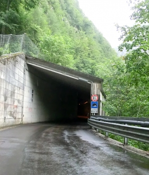 Pala Pelosa Tunnel southern portal