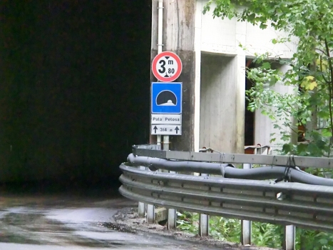 Pala Pelosa Tunnel southern portal