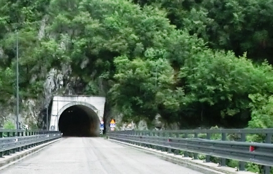 Puinton Tunnel eastern portal