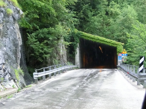Puinton Tunnel western portal