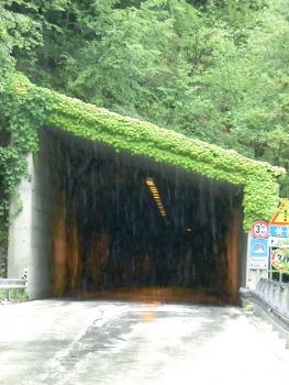 Puinton Tunnel western portal