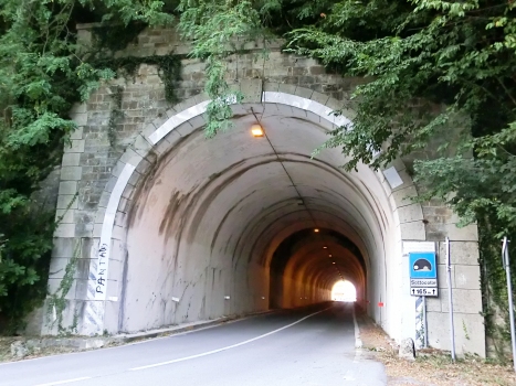 Sottocolle Tunnel eastern portal