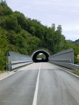 Lumezzane I Tunnel western portal
