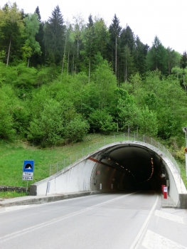 Totoga Tunnel western portal