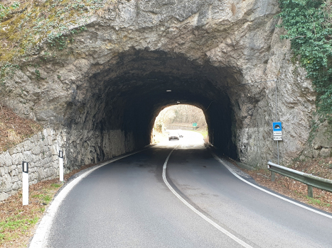 Ex Valdastico Tunnel