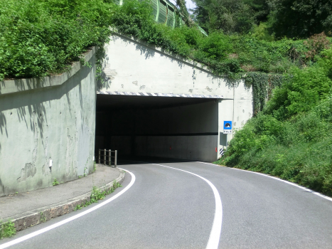 Novale di Sotto Tunnel northern portal