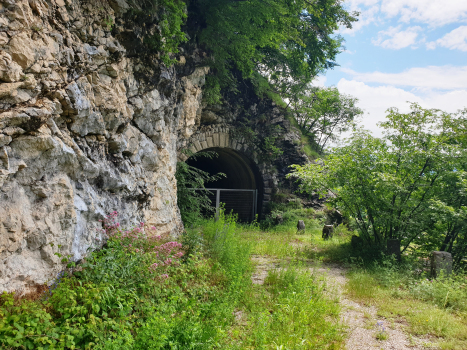 Valle San Felice Tunnel (1930)