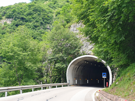 Valle San Felice Tunnel