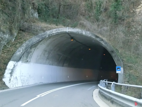Tunnel San Genesio 1