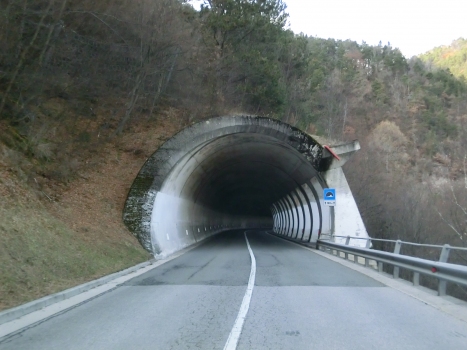 San Genesio 5 Tunnel southern portal