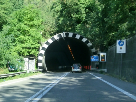 Monte Cognolo Tunnel southern portal