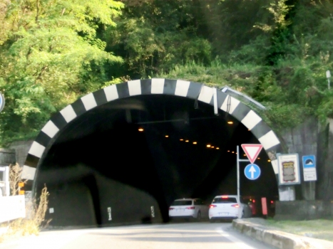 Monte Cognolo Tunnel northern portal