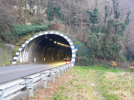 Tunnel Corona