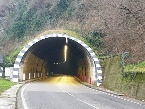Corona Tunnel