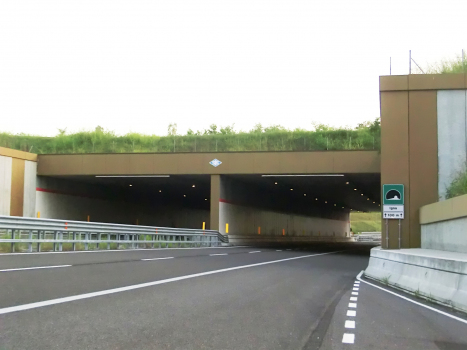 Igna Tunnel eastern portals