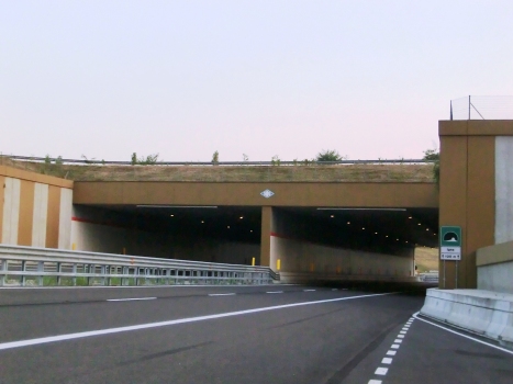 Igna Tunnel eastern portals