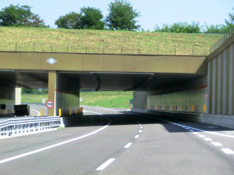 Igna Tunnel western portals