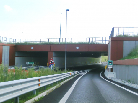 FS Treviso-Calalzo Tunnel eastern portals