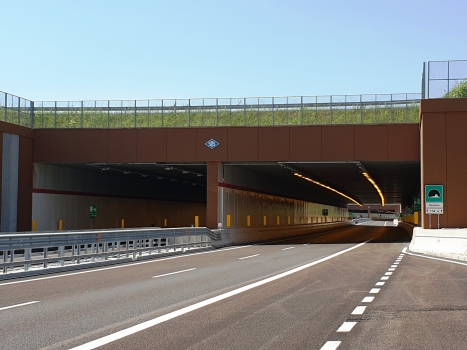 Rostone Tunnel eastern portals