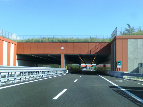 San Pietro Tunnel western portals
