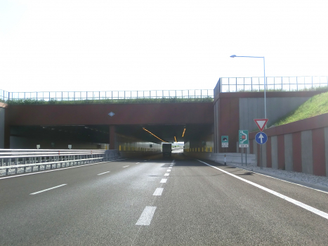Torrente Viazza Tunnel eastern portals