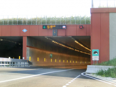 Trevignano Tunnel eastern portals