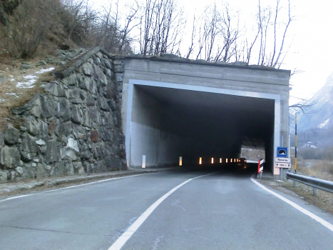 Tunnel d'Reverse