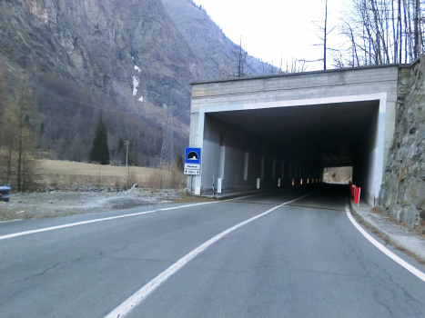 Reverse Tunnel