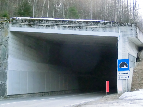 Tunnel de Proussaz