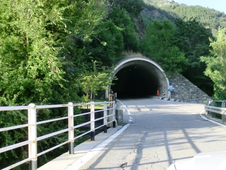 Avise Tunnel southern portal
