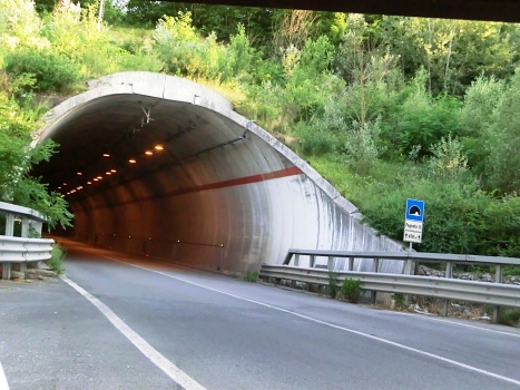Fogneto II Tunnel northern portal