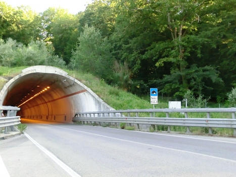 Fogneto I Tunnel northern portal