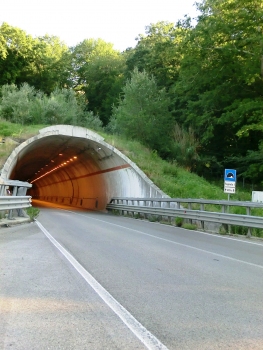 Tunnel Fogneto I