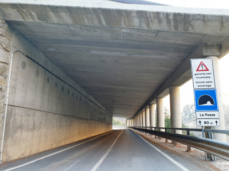 La Pesse Tunnel