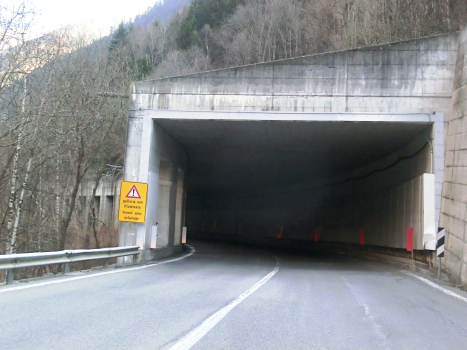 Cretazerva Tunnel