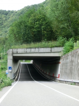 Del Lago I Tunnel southern portal