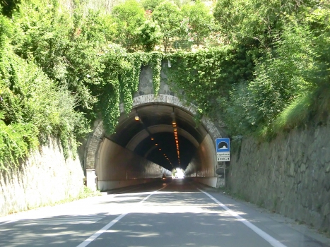 Capotorre Tunnel western portal