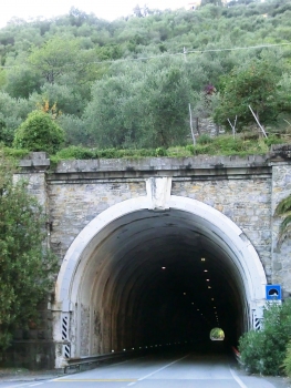 Castellaro Tunnel eastern portal