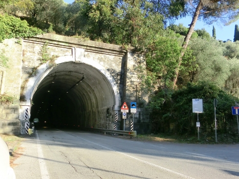Castellaro Tunnel western portal