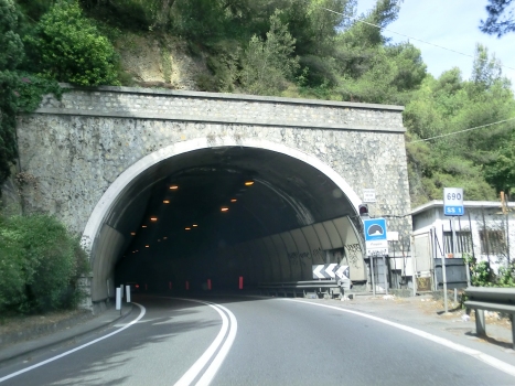 Poggio Tunnel eastern portal