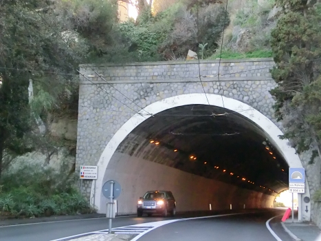 Punta Migliarese Tunnel