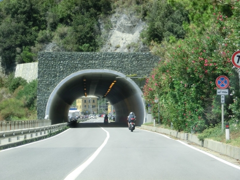 Tortuga Tunnel eastern portal